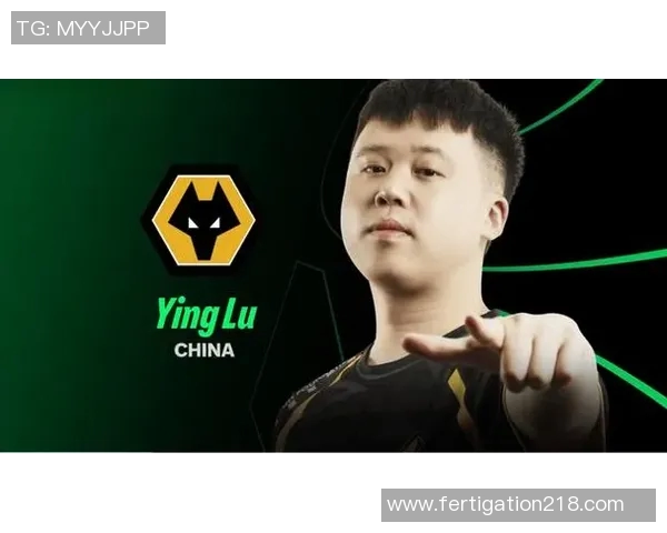 360在线直播火箭队对决活塞队精彩赛事全程回顾与分析